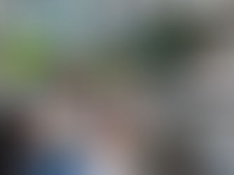 PL de Pernambuco lança movimento patriótico “Reaja, Brasil! Não vamos desistir”