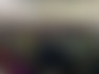 Corpos dos 12 Universitários Mortos em Acidente de Ônibus São Enterrados em São Joaquim da Barra