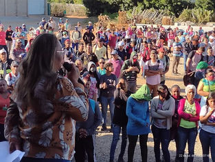 STTAR Petrolina Avança nas Negociações Coletivas por Melhorias para Trabalhadores Rurais