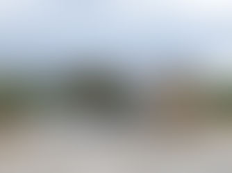 Cemafauna é Selecionado em Edital Nacional para Fortalecimento de Acervos Científicos