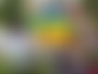 “Carro da Planta” leva mudas gratuitas a cinco bairros de Petrolina ao longo do mês de maio