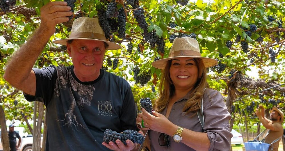 Especial Garziera 100 Safras: A Videira e o Poeta