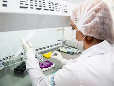 Butantan conquista aprovação da Anvisa para vacina contra chikungunya, a primeira do Brasil