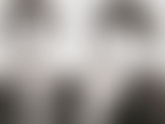 Frank Sinatra e Sua Luta Contra o Racismo: O Papel do Cantor no Movimento pelos Direitos Civis