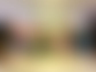 MDB de Lagoa Grande renova diretório municipal e destaca protagonismo feminino