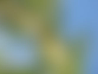 NEMA/Univasf integra banco de dados nacional com mais de 187 mil registros de espécies invasoras no Brasil