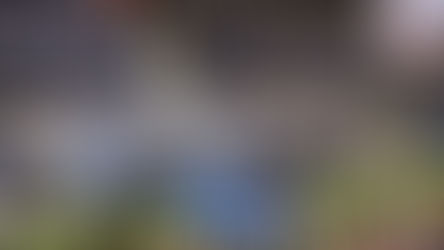 Congresso de Jovens da Assembleia de Deus em Pernambuco reúne 20 mil fiéis no Geraldão em um marco de fé e crescimento espiritual