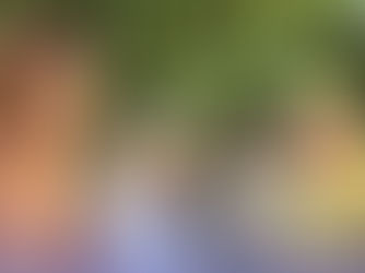 Ministro do Desenvolvimento Agrário visita Lagoa Grande e conhece potencial da fruticultura e vitivinicultura