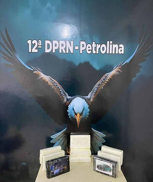 Material apreendido pela 12ª DPRN: 9,6 kg de cocaína