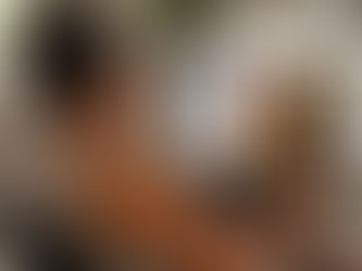 Campanha 'Meu Voto em Trânsito' leva informação a eleitores de todo o Nordeste antes do prazo de 20 de agosto