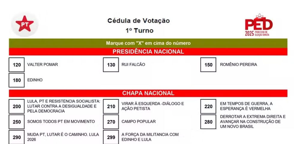 Cédula de votação das eleições internas do PT — Foto: Reprodução