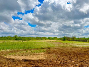 Garantia-Safra começa a ser pago e deve movimentar quase R$ 1 milhão em Lagoa Grande