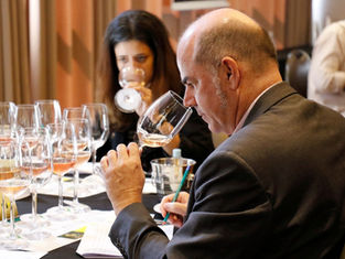 Grupo Verano Brasil conquista 3 Ouros e dois títulos de Melhor do Brasil na Grande Prova de Vinhos 2025