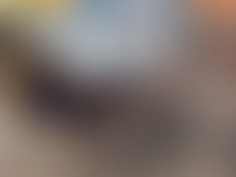 Operação Conjunta Desarticula Abate Clandestino em Petrolina