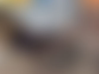 Operação Conjunta Desarticula Abate Clandestino em Petrolina