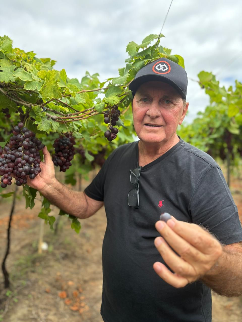 Jorge Garziera, pioneiro da vitivinicultura e primeiro prefeito de Lagoa Grande, receberá Título de Cidadão Pernambucano