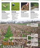 RCD Final_Poster-01.jpg