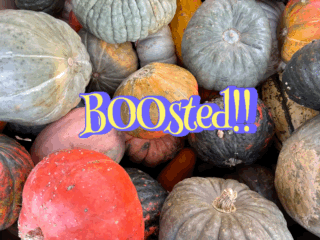 Boosted gourd.gif