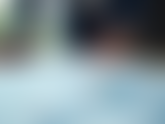 Enhancing Project Success: Steps for Professionals