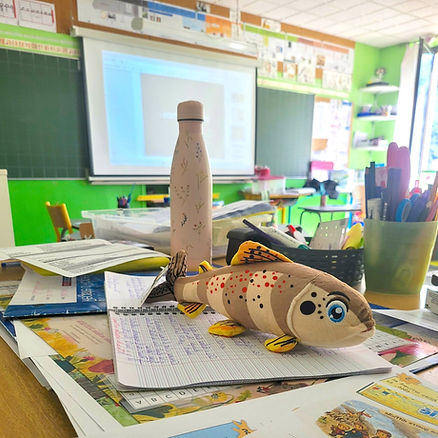 GECO_FDP05_AnimationScolaire082026.jpg