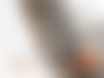 pelle Hitachi KTEG KMC750