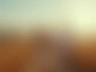 Streamline Your Marriage-Based Immigration Process Today