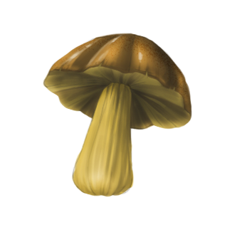 mushroom