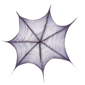 spider items