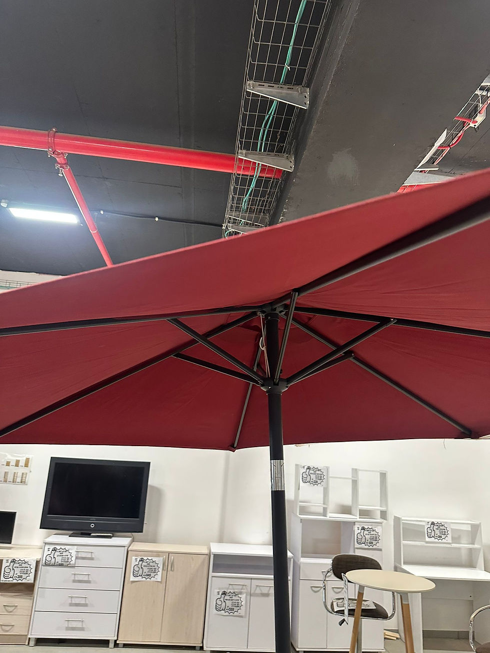 תמונה ממוזערת: שימשית אמצע קוטר 2 דגם ריף