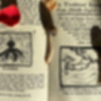 Thumbnail: Fungi Folklore Zine