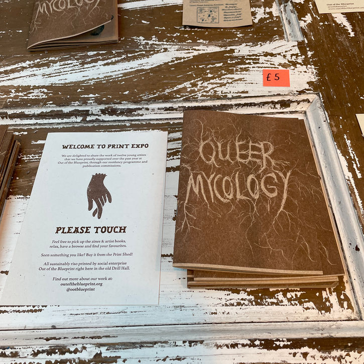 Queer Mycology Zine at Out of the Blue Print on a brown white table
