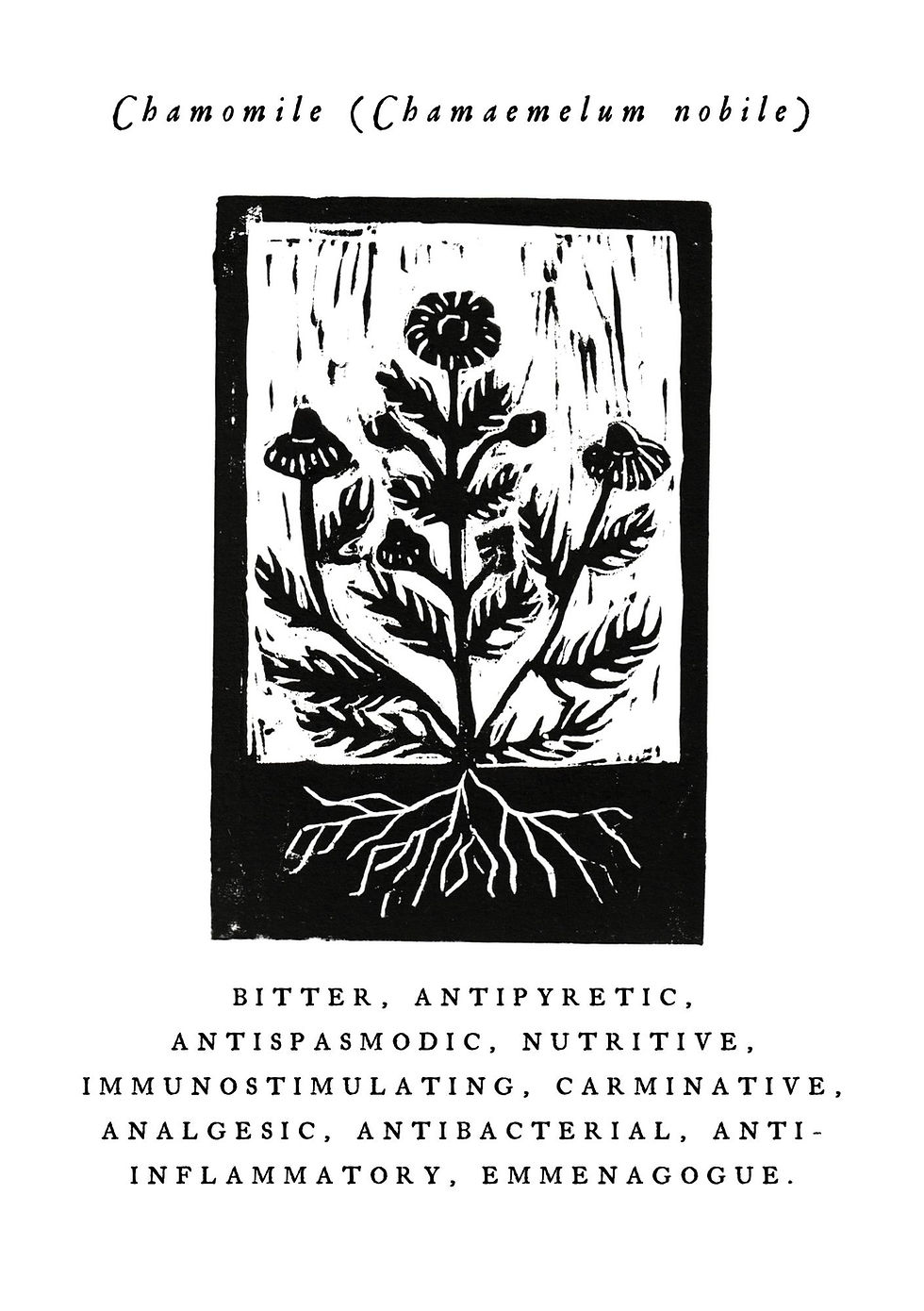 Thumbnail: Nine Herb Charm Zine