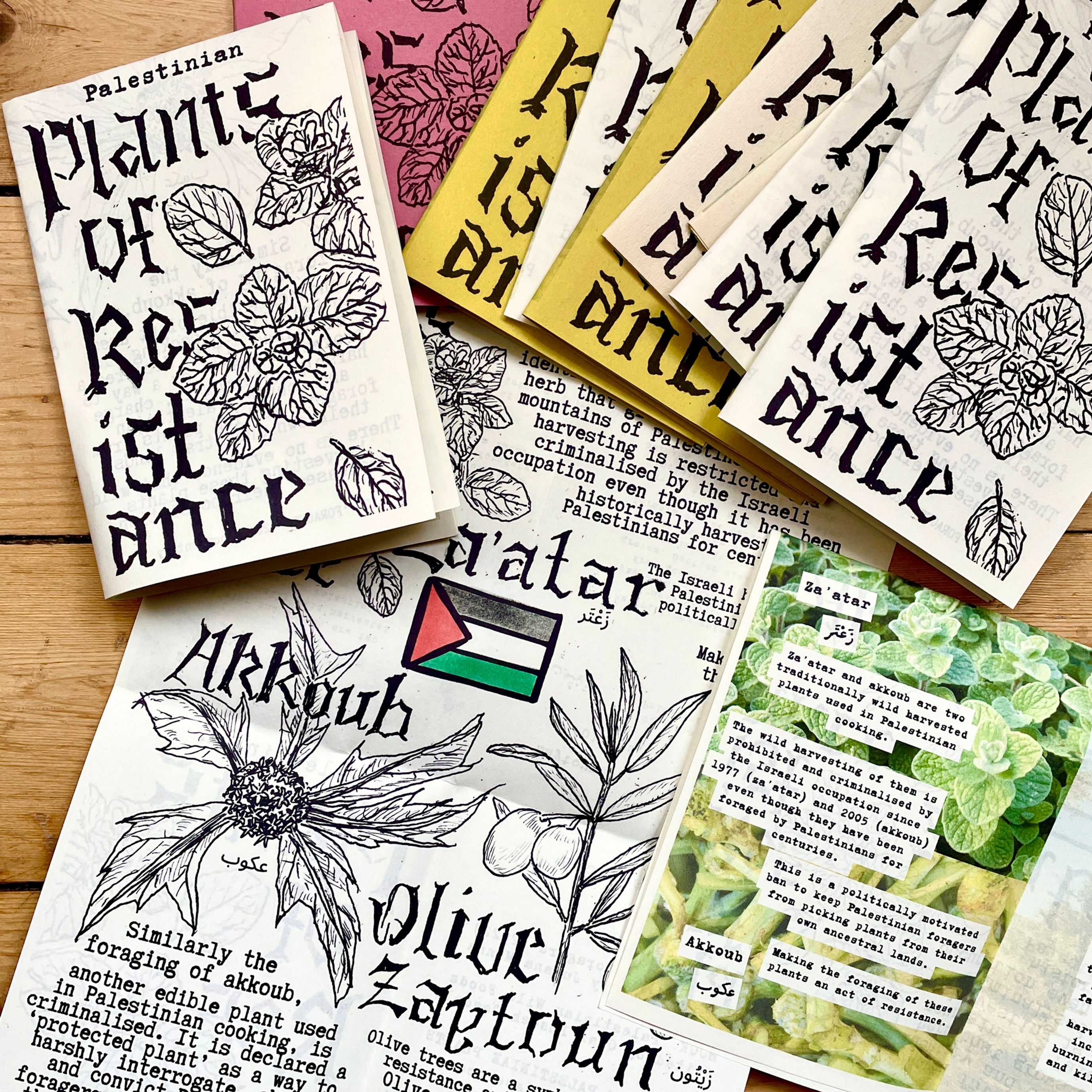 Plants of Resistance Zine pdf