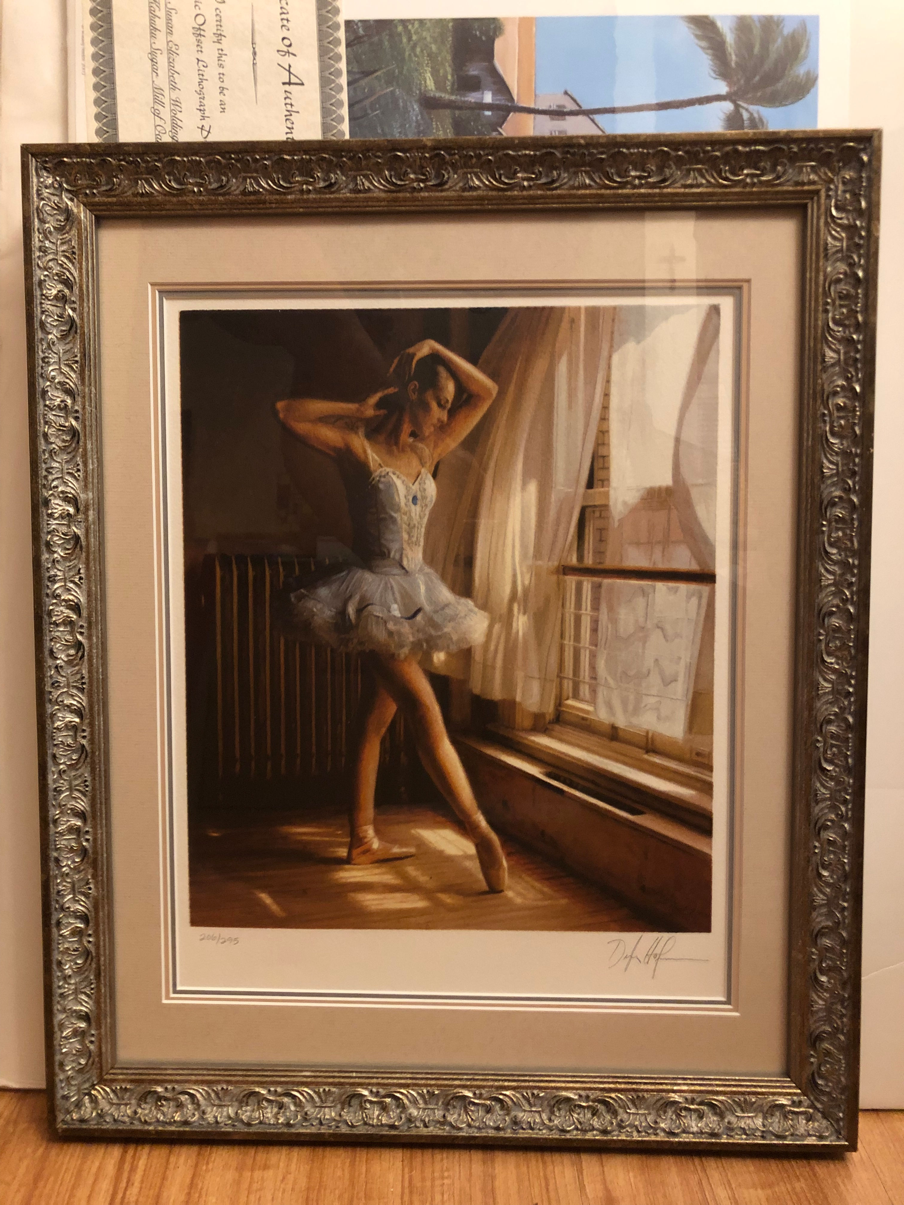 Reflections Portfolio 1 by Douglas Hofmann