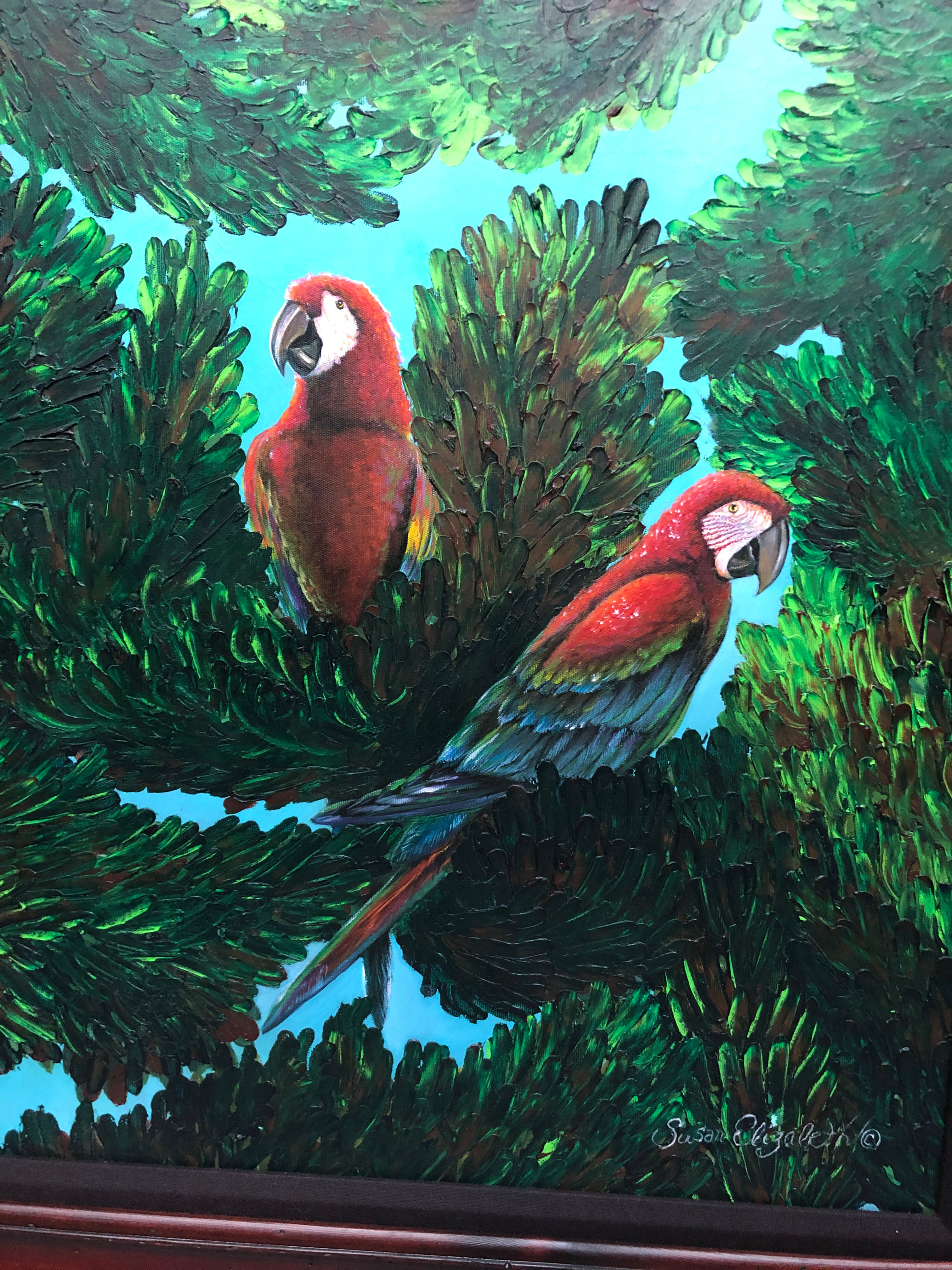 Macaw Tree by Susan Elizabeth Wolding
