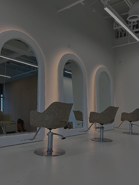 ALO North | ABOUT