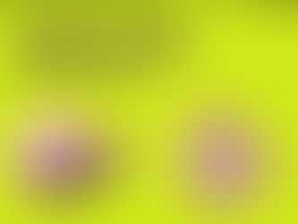 Curiosidades sobre o intestino