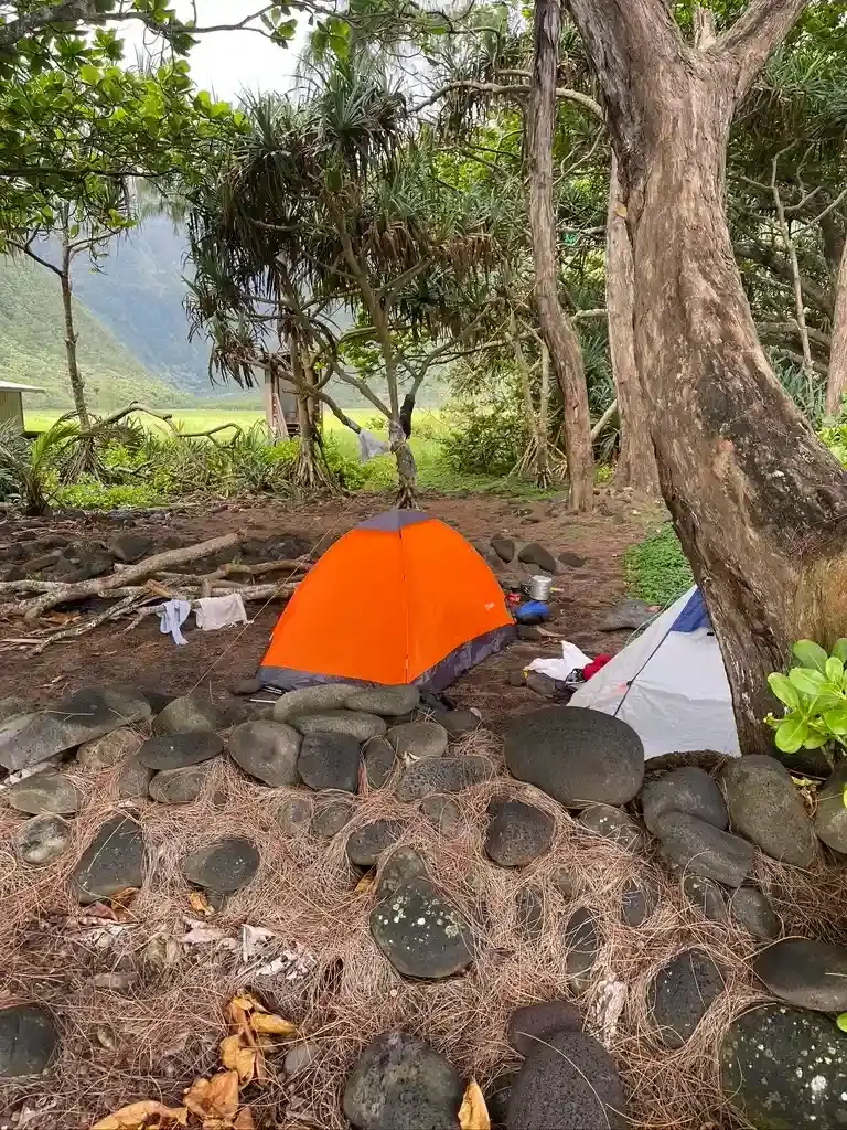 Orange and gray backpacking tents set beneath trees at a Waimanu Valley campsite.