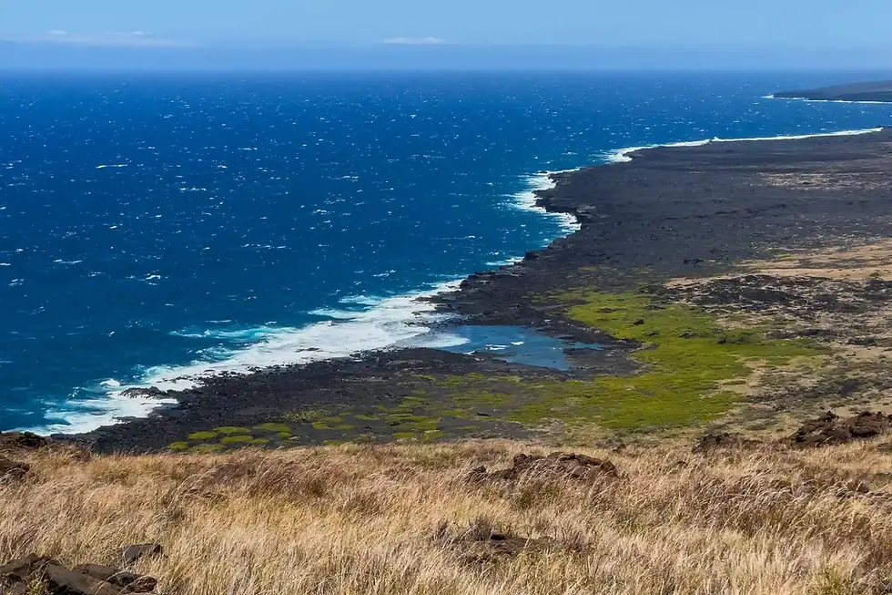 Scenic volcanic coastline where lava landscapes meet the blue Pacific Ocean.