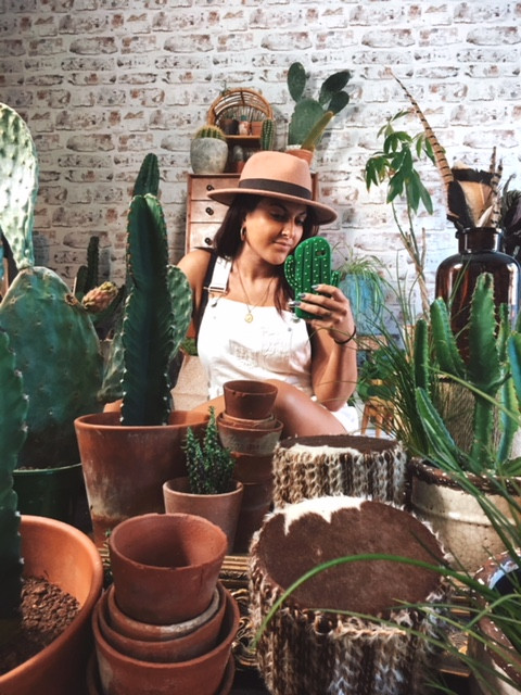 Houseplants