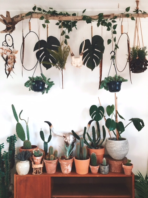 Vertical planter