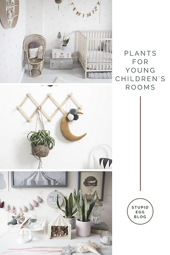 Plants for young children's rooms