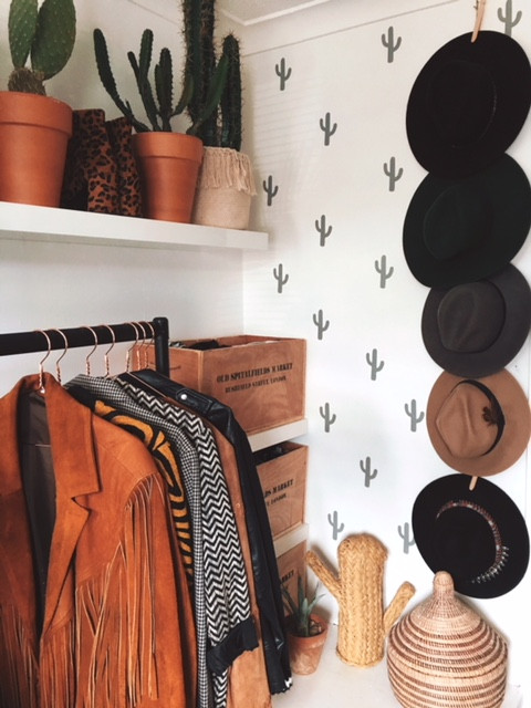 Cactus interior inspiration
