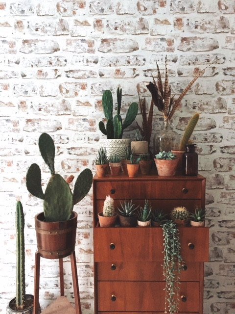House Plant storage