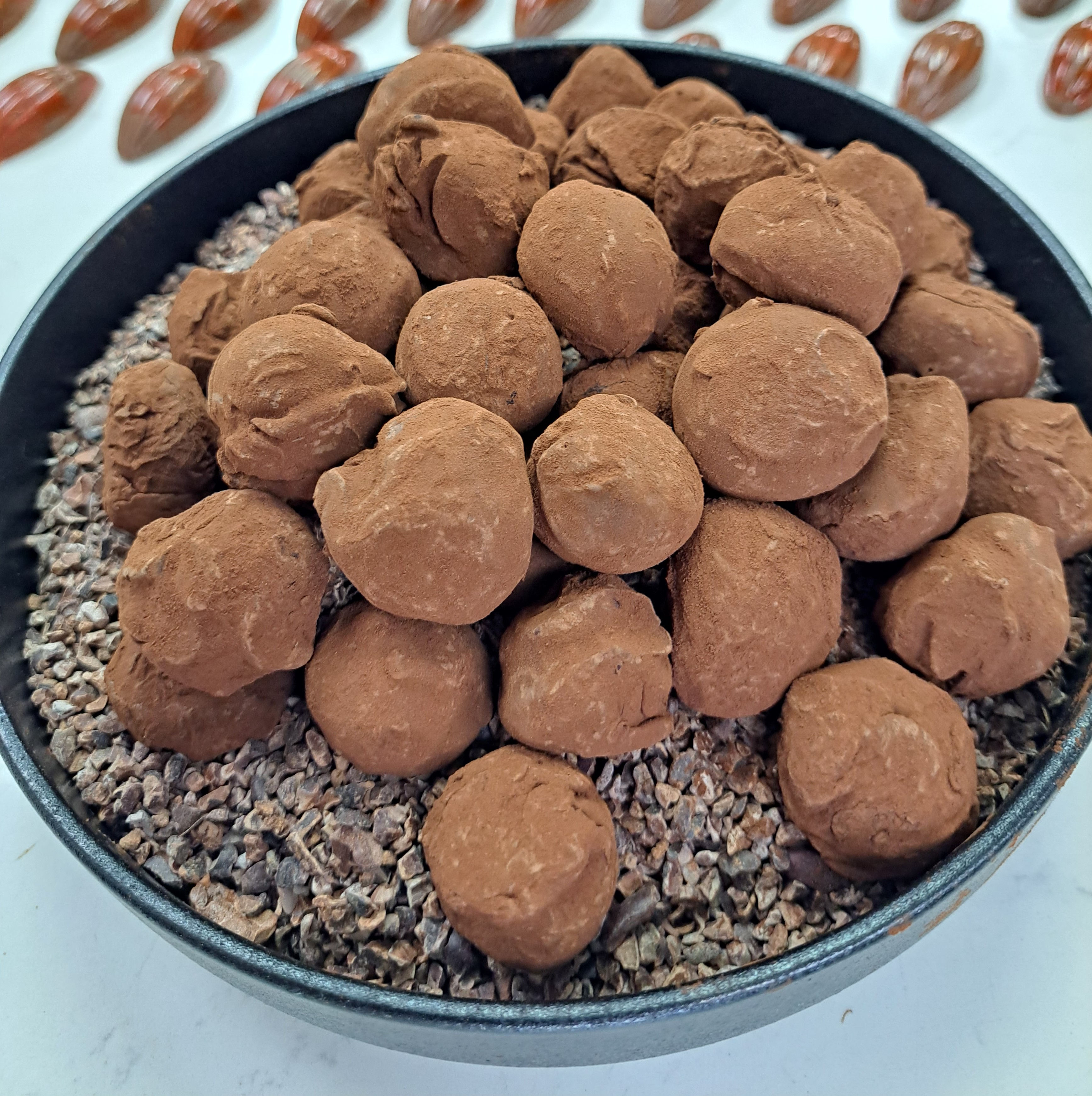 ממארז  10 טראפלס שוקלד מובחר