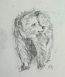 IMG_0619 (1)_edited_edited.jpg