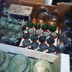 All prepped and ready for today's kids terrarium workshop _forestersarmsbedford _Should be