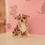 Thumbnail: Merle Long Hair Chihuahua Puppies 2