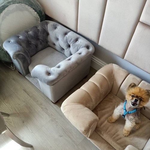 Custom made dog sofas Petholicks