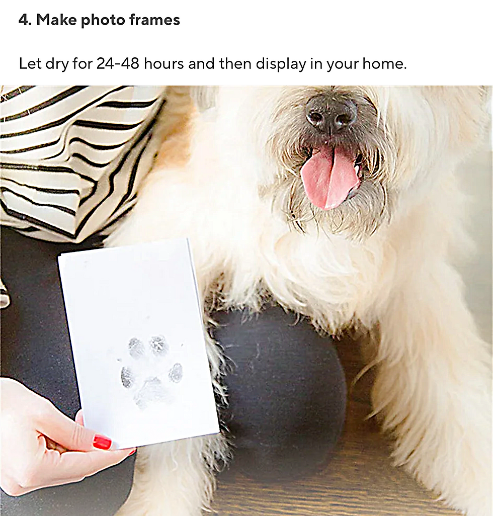 Thumbnail: Mess Free Paw Print Pad